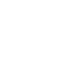 education (1)